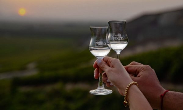 Producción de pisco crecerá un 4% en 2024,