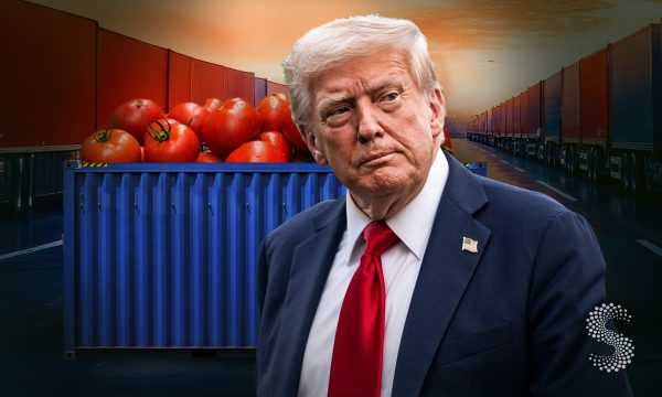 Trump impone un arancel del 17% al tomate mexicano