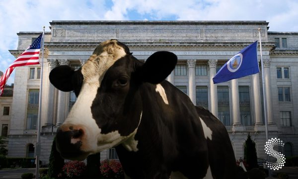 México y EE.UU buscan soluciones para el gusano barrenador.