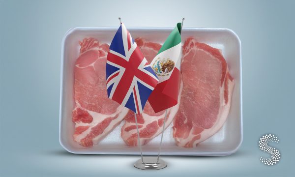 México abre mercado a 12 empresas británicas de carne porcina
