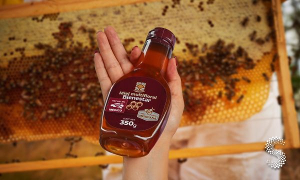 Miel Bienestar y Yucatán.