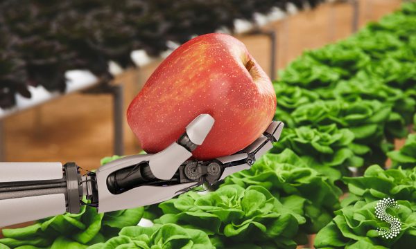 Margaret, la IA agrícola que integra datos, reportes y planificación.