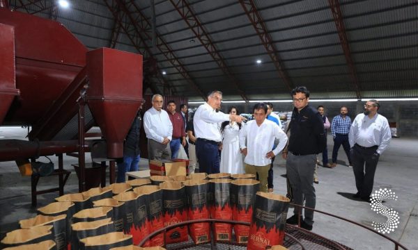 Avanza proyecto de instalación de una planta de pirólisis en Tamaulipas.