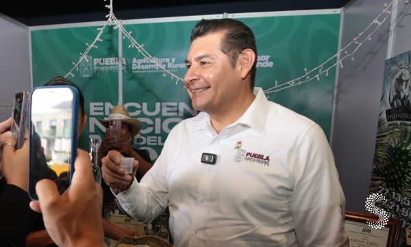 Puebla, líder nacional en municipios con producción de mezcal.