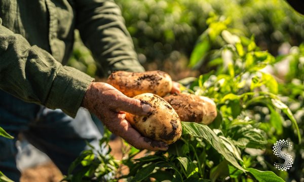 Chihuahua suma más de 14 mdp en créditos para apoyo agropecuario emergente.