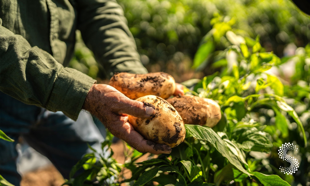 Chihuahua suma más de 14 mdp en créditos para apoyo agropecuario emergente.