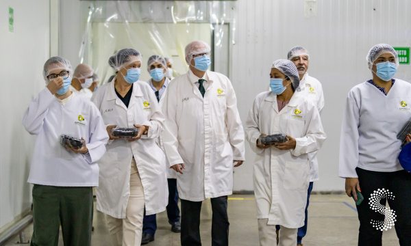 Morelos fortalece relaciones comerciales con Alemania.