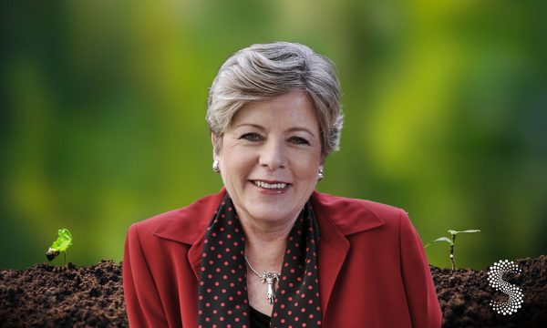 Política ambiental en acción