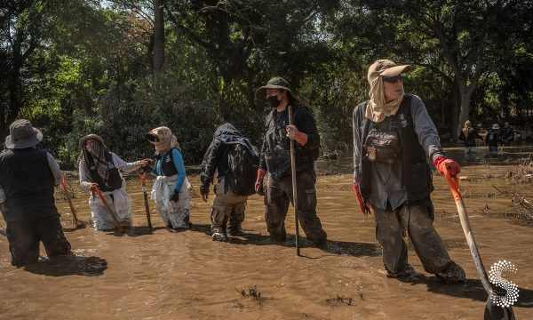 Gobierno de Veracruz aclara sobre seguro para desastres y confirma apoyo a emergencia.
