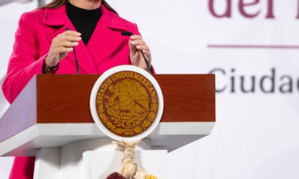 El maíz es la raíz