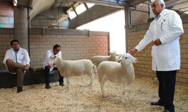 MEX8897. CIUDAD DE MÉXICO (MÉXICO), 17/11/2025.- El doctor José Ernesto Hernández Pichardo (d) y los investigadores Boris Ramos Serrano (i) y José Luis Rodríguez el 16 de noviembre de 2025, en Ciudad de México (México). Para los investigadores de la Universidad Autónoma Metropolitana (UAM) que lograron la primera clonación de un borrego vivo en México mediante la transferencia de núcleos de células somáticas, esto "es solo el inicio" de una revolución en la ganadería y la conservación de especies de alto valor genético o en riesgo de extinción, guiada por la ciencia mexicana.