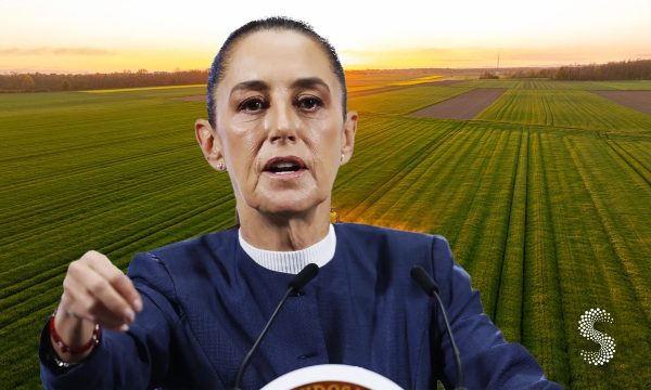 Reunión México-Estados Unidos por cierre ganadero