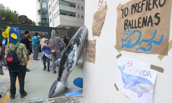 La ONU expresó “profunda preocupación” al Gobierno de México por el avance de megaproyectos de gas fósil licuado en el Golfo de California, advirtiendo riesgos ambientales, climáticos y de derechos humanos.